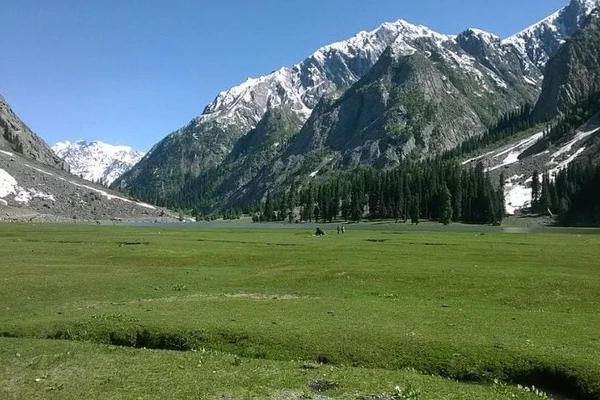  As colinas abaixo das montanhas de Kohistan são geralmente cobertas por florestas e vegetação rasteira por Reprodução/Wikimedia Commons/ Nasirmemmood