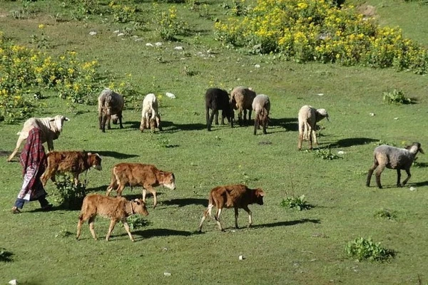  São comunidades rurais que vivem de agricultura, pecuária e, em menor escala, comércio local por Reprodução/ Wikimedia Commons/Nisar Akaash Torwali