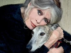 Imagem - Morre aos 91 anos a atriz francesa Brigitte Bardot