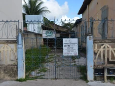 Imagem - MP aciona cidade na Bahia para garantir abrigo a animais abandonados