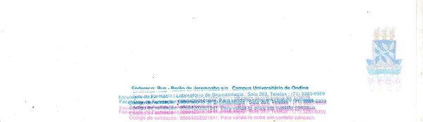 Laudo técnico foi divulgado pelo O Cravinho por Reprodução