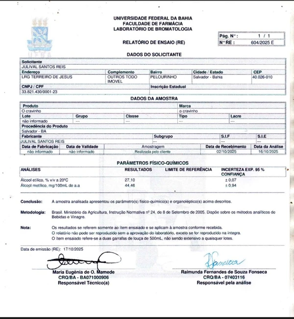 Laudo técnico foi divulgado pelo O Cravinho por Reprodução