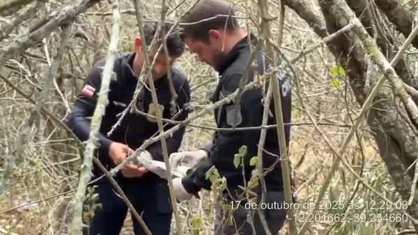 Polícia encontrou ferramentas como pás, enxadas, picareta e machado, além de sacos de cal que podem ter sido utilizadas na ocultação dos corpos por Reprodução