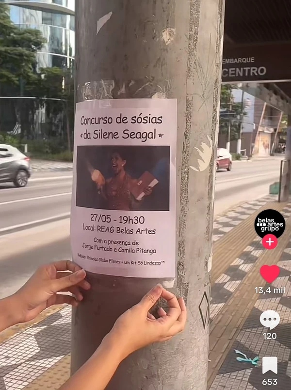 Banner do concurso de sósias da personagem Silene Seagal do filme "Saneamento Básico"  por Reprodução/Redes Sociais 
