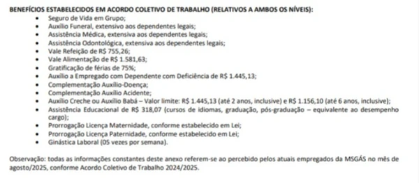 Detalhes das vagas de concurso da MSGás por Reprodução