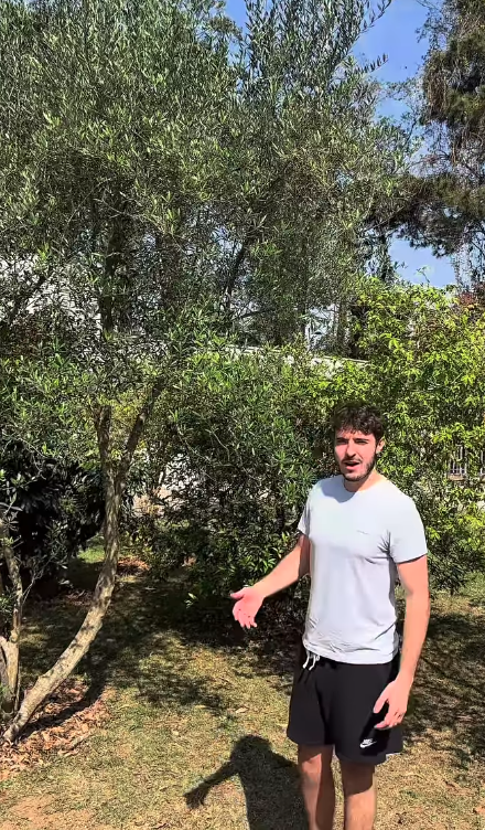 João Augusto Liberato por Reprodução | Redes Sociais