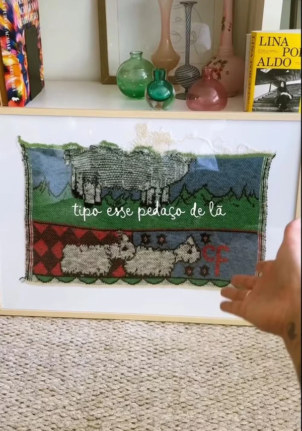 Quadro com lã da primeira ovelha clonada no mundo, Dolly por Reprodução/TikTok