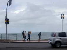 Imagem - Árvores caídas e casas alagadas: chuva forte causa transtornos em Salvador