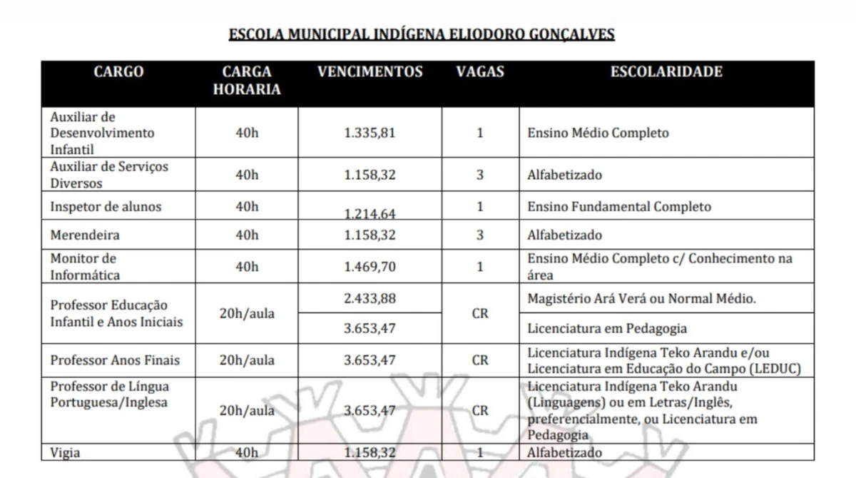 Detalhes de vagas voltadas para ensino indígena por Captura de tela do Edital