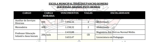 Detalhes de vagas voltadas para ensino indígena por Captura de tela do Edital