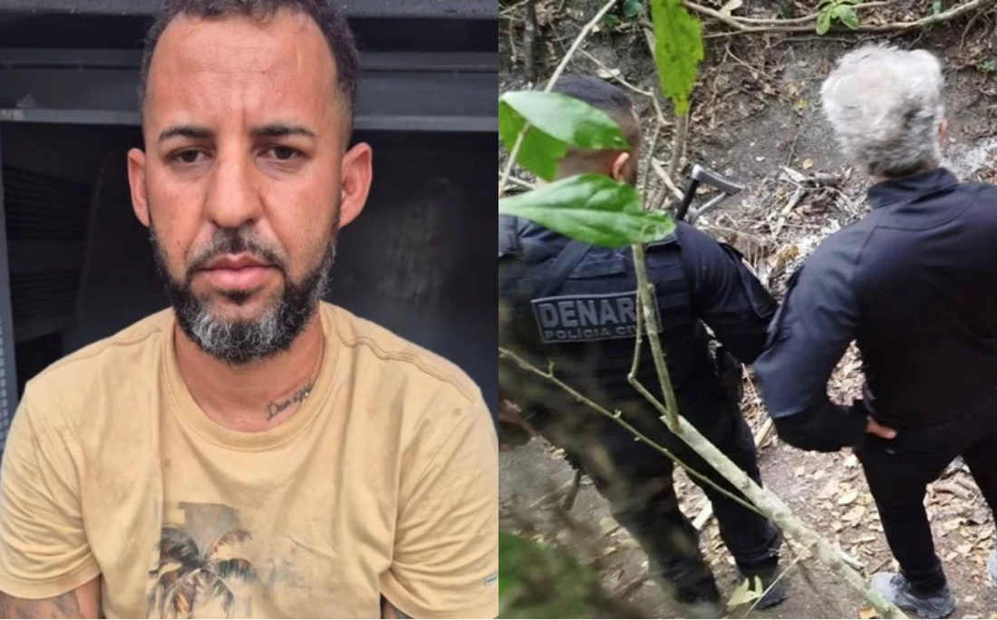 Coruja é líder do BDM por Reprodução