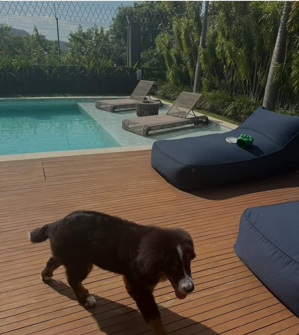 Mansão de Belo no Rio de Janeiro por Reprodução