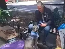 Imagem - Ator do SBT vive em situação de rua com gatos e cachorro após perder tudo