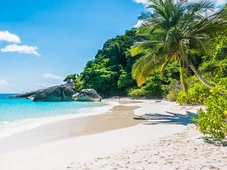 Imagem - 7 praias paradisíacas da Bahia que você precisa conhecer