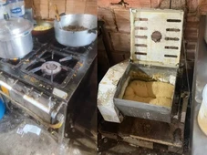Imagem - Fábrica clandestina de salgados é fechada após infestação de baratas ser encontrada no local