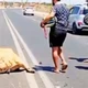 Imagem - População esquarteja vaca viva após acidente que matou motoqueiro