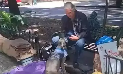 Ator de novela do SBT vive em praça com gatos e cachorro por Reprodução