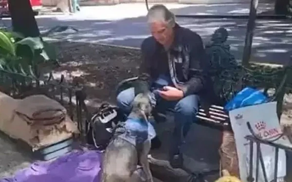 Ator de novela do SBT vive em praça com gatos e cachorro