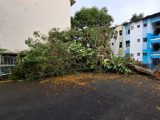 Imagem - Chuva em Salvador faz 13 sirenes de deslizamento de terra serem acionadas; veja onde