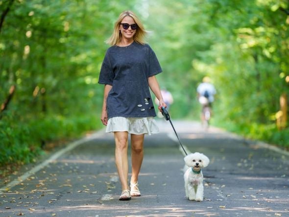 Imagem - 10 plantas tóxicas para animais comuns em jardins e calçadas