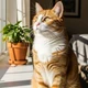 Imagem - Como uma gata conseguiu extinguir sozinha toda uma espécie de passarinhos