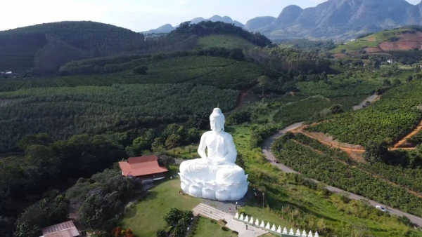 Destino ideal para quem busca ecoturismo e tranquilidade, Ibiraçu oferece paisagens exuberantes e experiências espirituais únicas