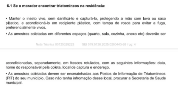 Recomendações de proteção  por Reprodução