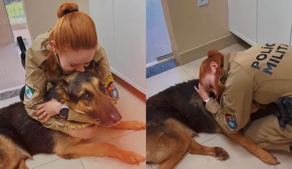 Cão policial Athos com a tutora