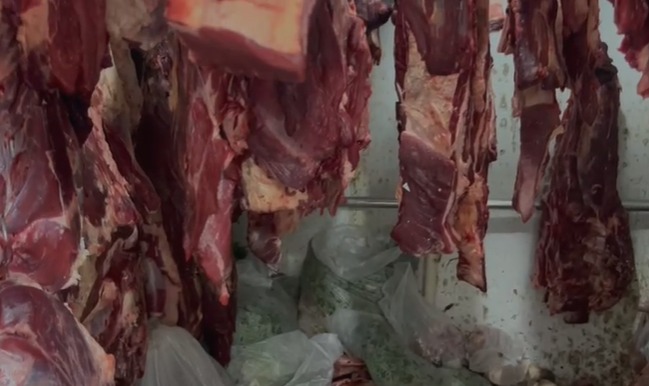 Operação Agro II por Andrei Sansil/Ascom PC-BA