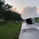 Imagem - Motoristas aguardam liberação da BR-324 após acidente: 'Incompetência dos responsáveis pelas rodovias'