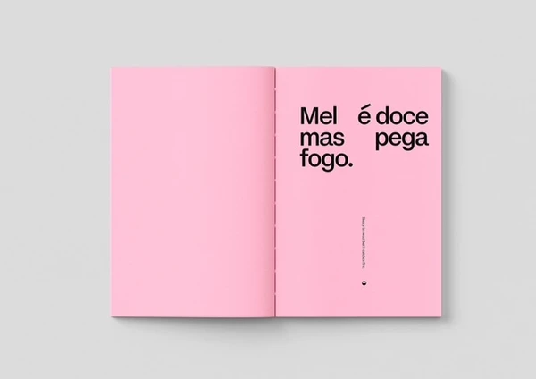 Caderno 1, de Iansã Negrão e Lia Cunha, disponível na RV Cultura e Arte por Reprodução/redes sociais