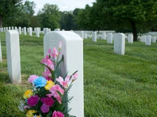 Imagem - Vai levar flores ao cemitério no Dia de Finados? Veja o que cada uma delas significa