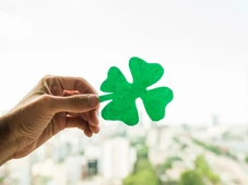 Imagem - Hora de se abrir para o novo: tire a sua sorte do dia para esta quarta (29 de outubro)