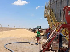 Imagem - Trabalhador morre soterrado após cair em silo de soja de fazenda na Bahia