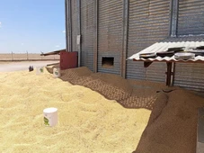 Imagem - MPT vai investigar morte de trablhador que caiu em silo de soja na Bahia