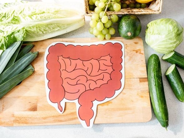 Imagem - Veja alimentos e hábitos para melhorar a saúde do intestino