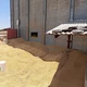 Imagem - MPT vai investigar morte de trabalhador que caiu em silo de soja na Bahia