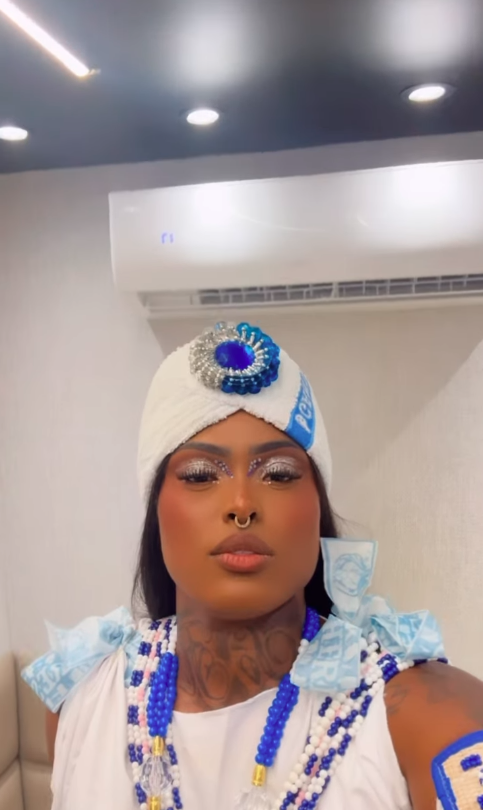 A Dama do Pagode por Reprodução | Instagram