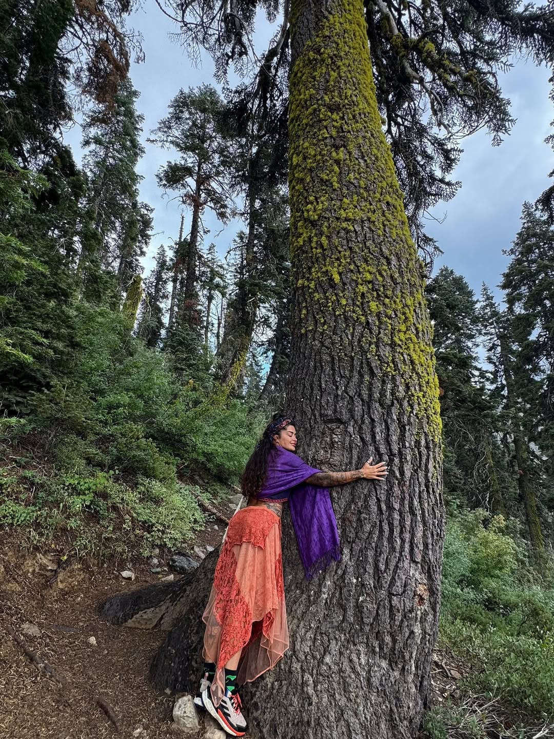 Aline Campos por Reprodução/Instagram