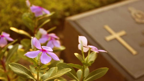 Dia de Finados por Shutterstock