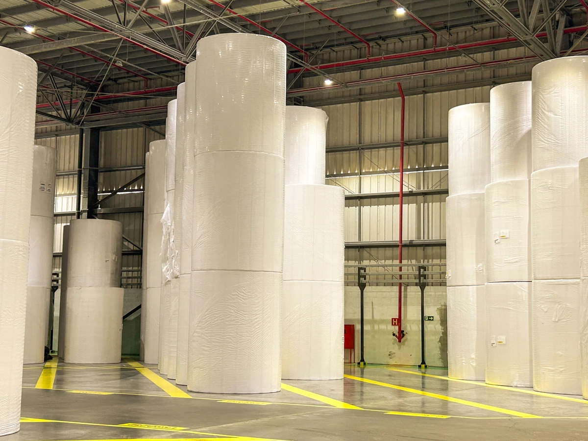 Fábricas de papel utilizam celulose de árvores plantadas por Sora Maia/CORREIO