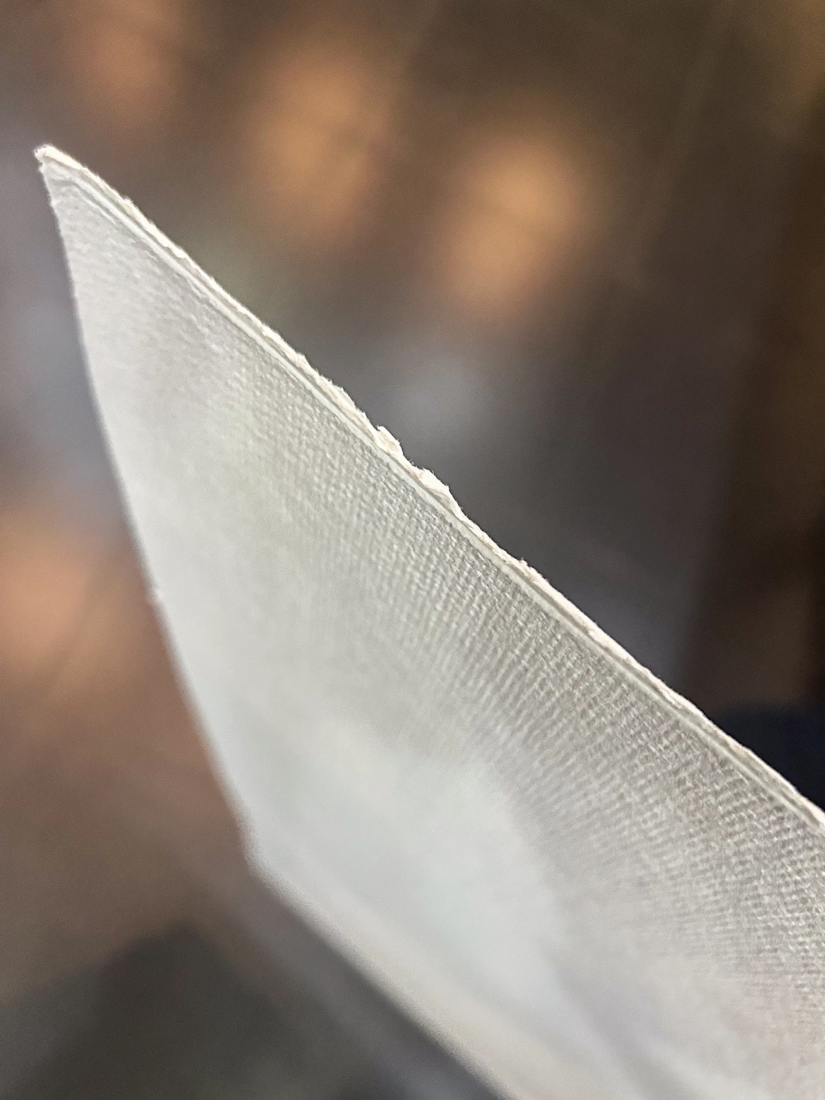 Fábricas de papel utilizam celulose de árvores plantadas por Sora Maia/CORREIO