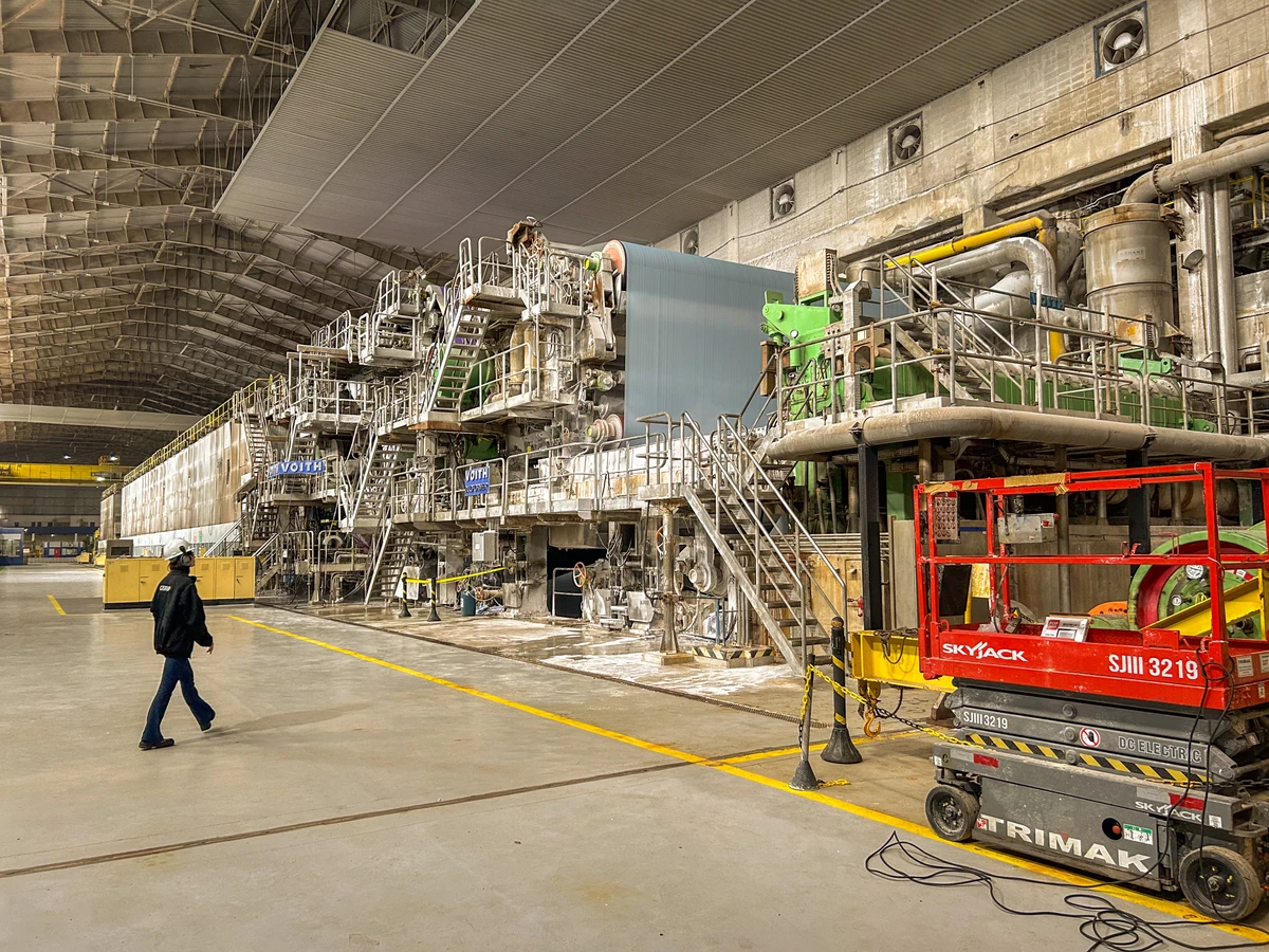 Fábricas de papel utilizam celulose de árvores plantadas por Sora Maia/CORREIO