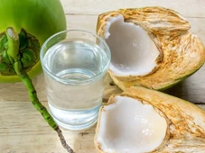 Imagem - Água de coco e manteiga de cacau: veja os produtos baianos que saíram do tarifaço de Trump