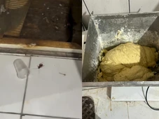 Imagem - Buffet clandestino é fechado após Vigilância encontrar baratas e alimentos vencidos