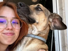 Imagem - Grávida faz ultrassom e fica chocada ao ver cachorro 'aparecer' na imagem; VEJA