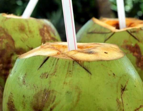 Água de coco por Reprodução