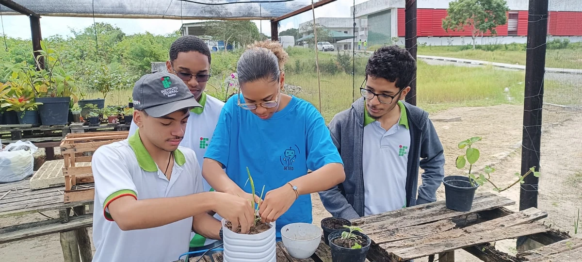 BioLuz é desenvolvido por estudantes do segundo ano do Ensino Médio por Arquivo Pessoal