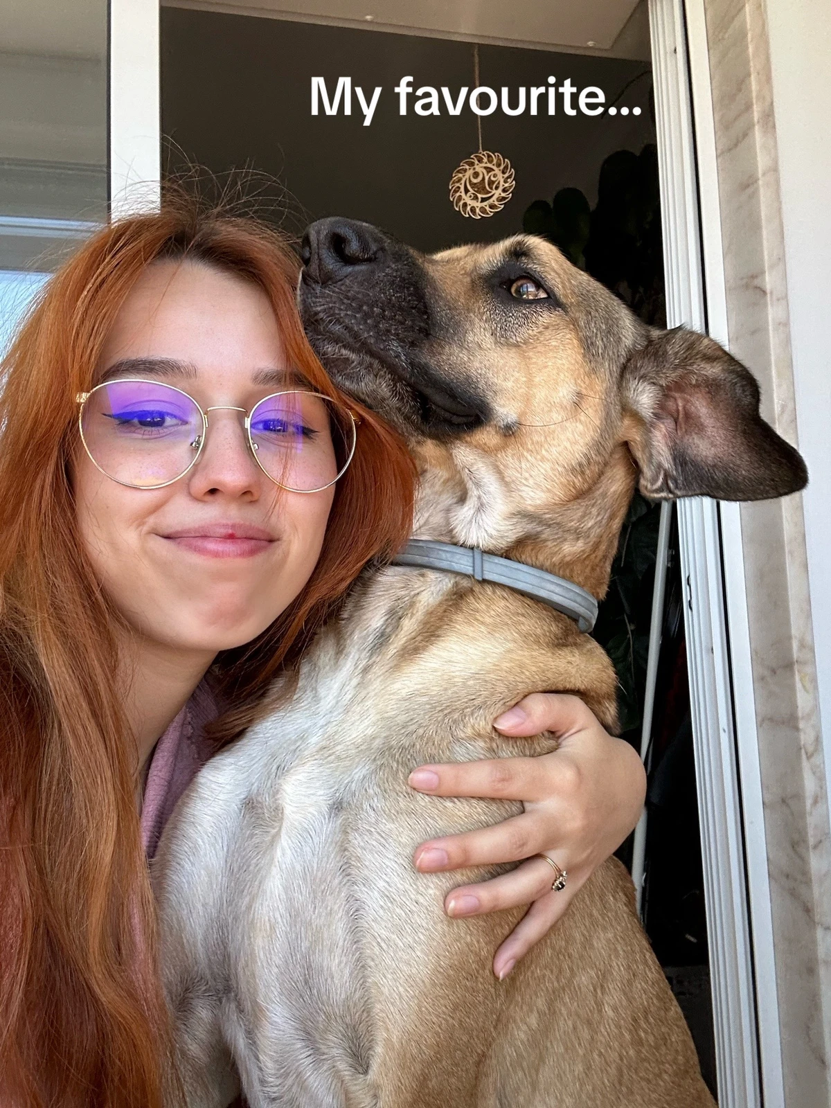 Inês e Goulash por Reprodução/TikTok