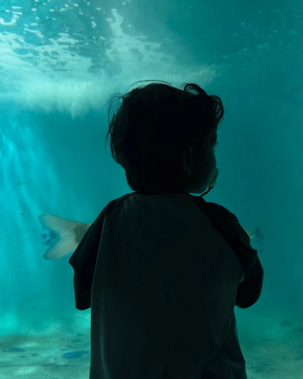 Petra Mattar e Makai por Reprodução/Instagram